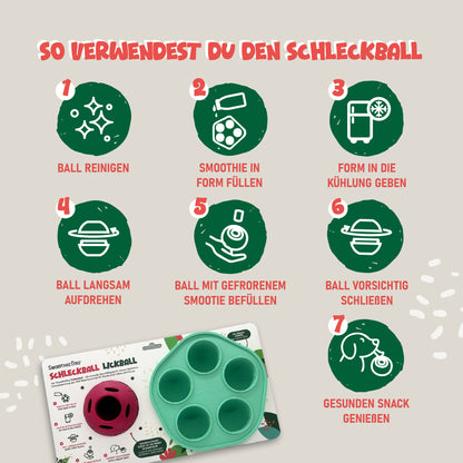 Infografik zur Anwendung des SmoothieDog Schleckballs mit Eisform. Die Grafik zeigt in sieben Schritten, wie der Schleckball verwendet wird: Ball reinigen, Hundesmoothie in die Eisform füllen, einfrieren, Ball öffnen, gefrorenen Smoothie einsetzen, Ball schließen und dem Hund zum Schlecken geben. Im unteren Bereich sind der pinke Schleckball und die mintgrüne Eisform auf der Produktverpackung abgebildet. Die Illustration erklärt die Zubereitung einer gefrorenen Beschäftigung und Belohnung für Hunde.