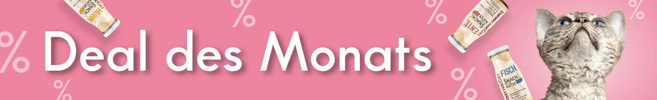 Zum Deal des Monats für Katzen – Katze neben rabattierten SmoothieCat Produkten. Jetzt Angebot sichern.