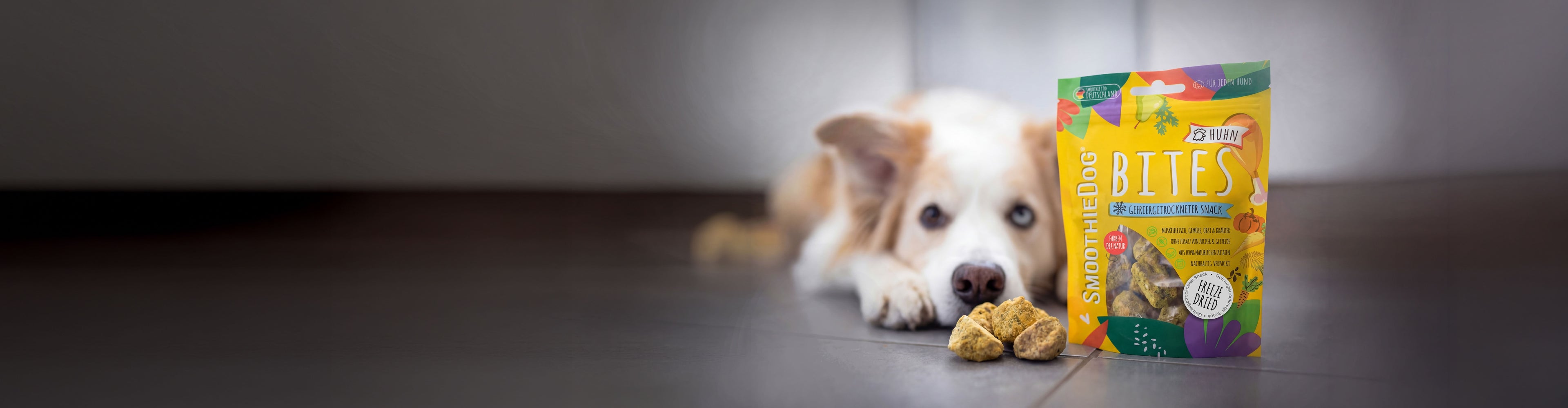 SmoothieDog Bites Huhn stehen vor einem Hund, der interessiert auf die gefriergetrockneten Snacks blickt. Die Verpackung zeigt natürliche Zutaten und steht für einen gesunden, praktischen Snack für jeden Hund.
