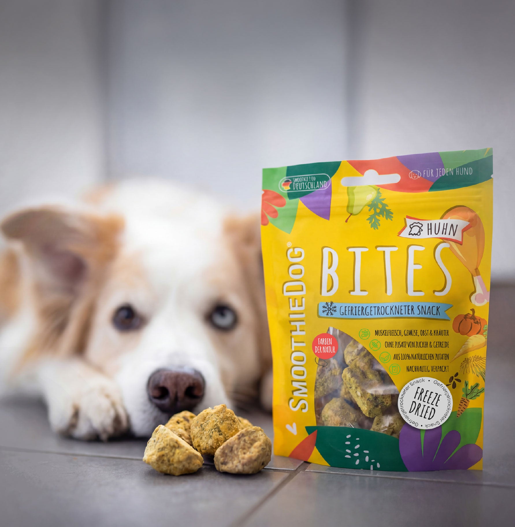 SmoothieDog Bites Huhn stehen vor einem Hund, der interessiert auf die gefriergetrockneten Snacks blickt. Die Verpackung zeigt natürliche Zutaten und steht für einen gesunden, praktischen Snack für jeden Hund.