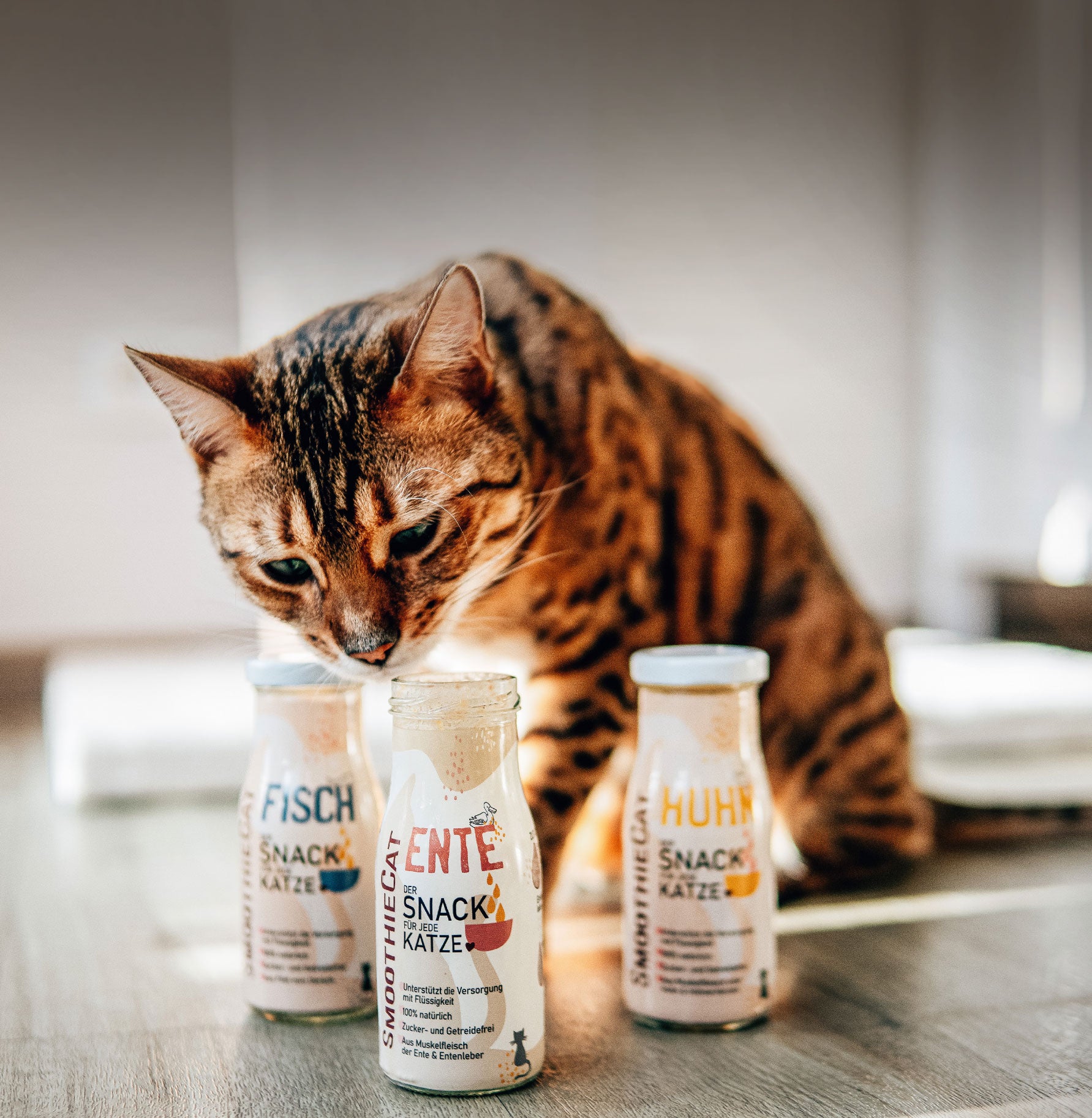 Katze schnuppert neugierig an mehreren SmoothieCat Flaschen mit verschiedenen Sorten. Die flüssigen Snacks bestehen aus natürlichen Zutaten und bieten Abwechslung für die Katze.