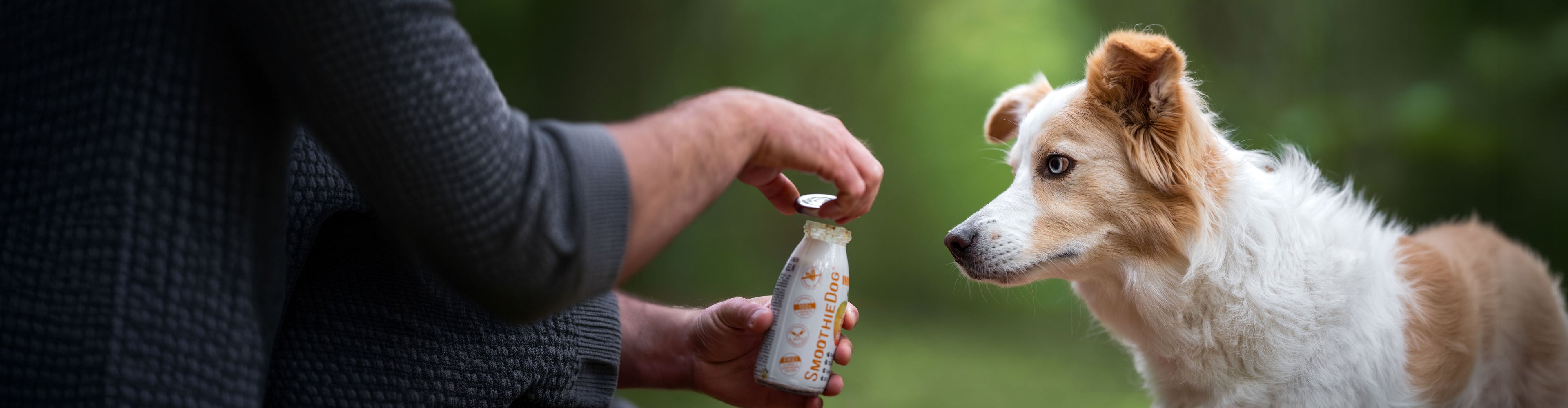 Eine Person öffnet eine SmoothieDog Flasche, während ein Hund aufmerksam daneben wartet. Der Hundesmoothie dient als gesunder Snack oder Ergänzung für unterwegs und im Alltag.