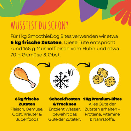 Infografik zu SmoothieDog Bites Huhn erklärt den Gefriertrocknungsprozess und zeigt, wie Nährstoffe und Geschmack der Hundesnacks erhalten bleiben. Im Klassik-Mix als 12er-Pack (12x 40g.) 6er-Pack (6x 40g.) 3er-Pack (3x 40g.) erhältlich.