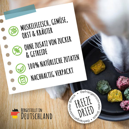 Infografik der SmoothieDog Bites erklärt die Zusammensetzung aus Muskelfleisch, Gemüse, Obst und Kräutern sowie die Herstellung ohne Zucker und Getreide. Die gefriergetrockneten Hundesnacks stehen für natürliche Qualität und nachhaltige Verpackung. Im Klassik-Paket als 12er-Pack (12x 40g.) 6er-Pack (6x 40g.) 3er-Pack (3x 40g.) erhältlich.