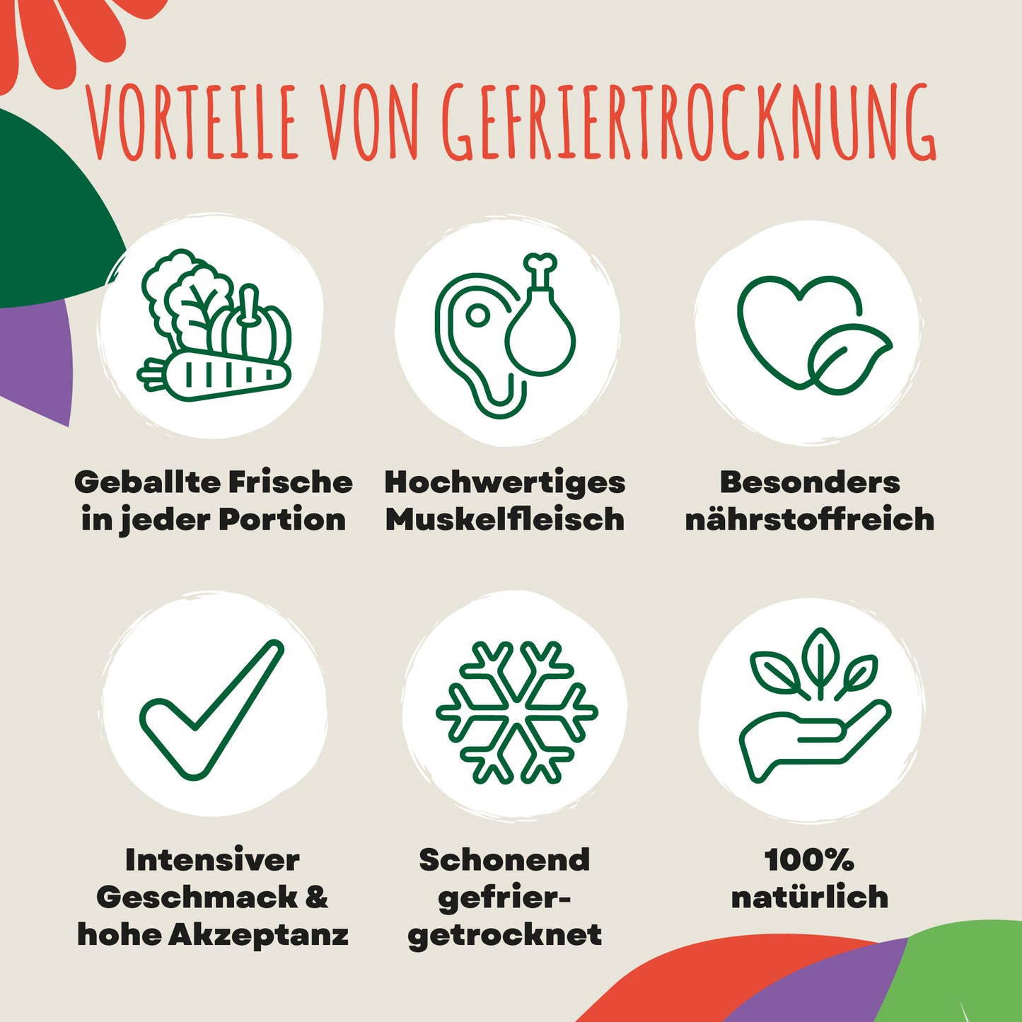 Infografik zu den Vorteilen der Gefriertrocknung. Dazu gehören unteranderem eine hohe Nährstoffdichte und ein intensiver Geschmack.  Im Klassik-Mix als 12er-Pack (12x 40g.) 6er-Pack (6x 40g.) 3er-Pack (3x 40g.) erhältlich.