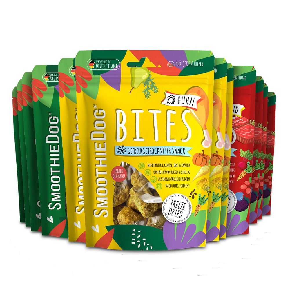 SmoothieDog Bites Klassik 12er-Pack (12x 40g.) mit den Sorten Rind, Huhn und Lamm in farblich unterschiedlichen Verpackungen. Die gefriergetrockneten Hundesnacks bestehen aus hochwertigen, natürlichen Zutaten und sind klar als einzelne Sorten erkennbar. Ideal als Belohnung oder Snack für unterwegs.