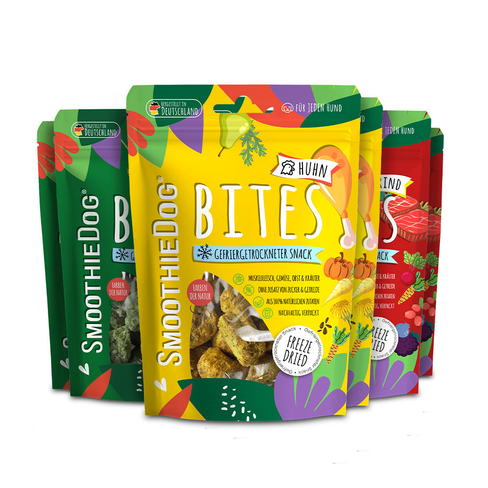 SmoothieDog Bites Klassik 6er-Pack (6x 40g.) mit den Sorten Rind, Huhn und Lamm in farblich unterschiedlichen Verpackungen. Die gefriergetrockneten Hundesnacks bestehen aus hochwertigen, natürlichen Zutaten und sind klar als einzelne Sorten erkennbar. Ideal als Belohnung oder Snack für unterwegs.