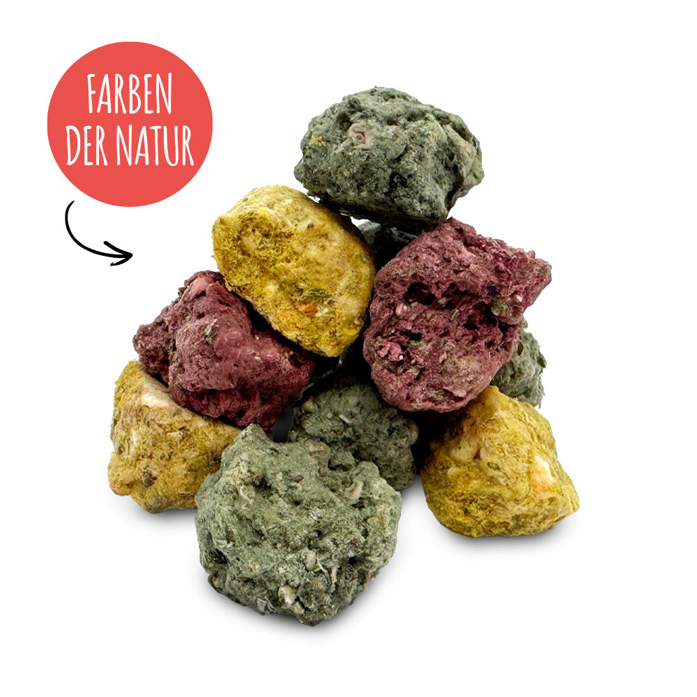 Nahaufnahme der SmoothieDog Bites in verschiedenen Farben, die die unterschiedlichen Sorten wie Rind, Huhn und Lamm darstellen. Die gefriergetrockneten Stücke zeigen ihre natürliche Struktur und hochwertige Zutaten. Verfügbar im 12er-Pack (12x 40g.), 6er-Pack (6x 40g.) und 3er-Pack (3x 40g.).