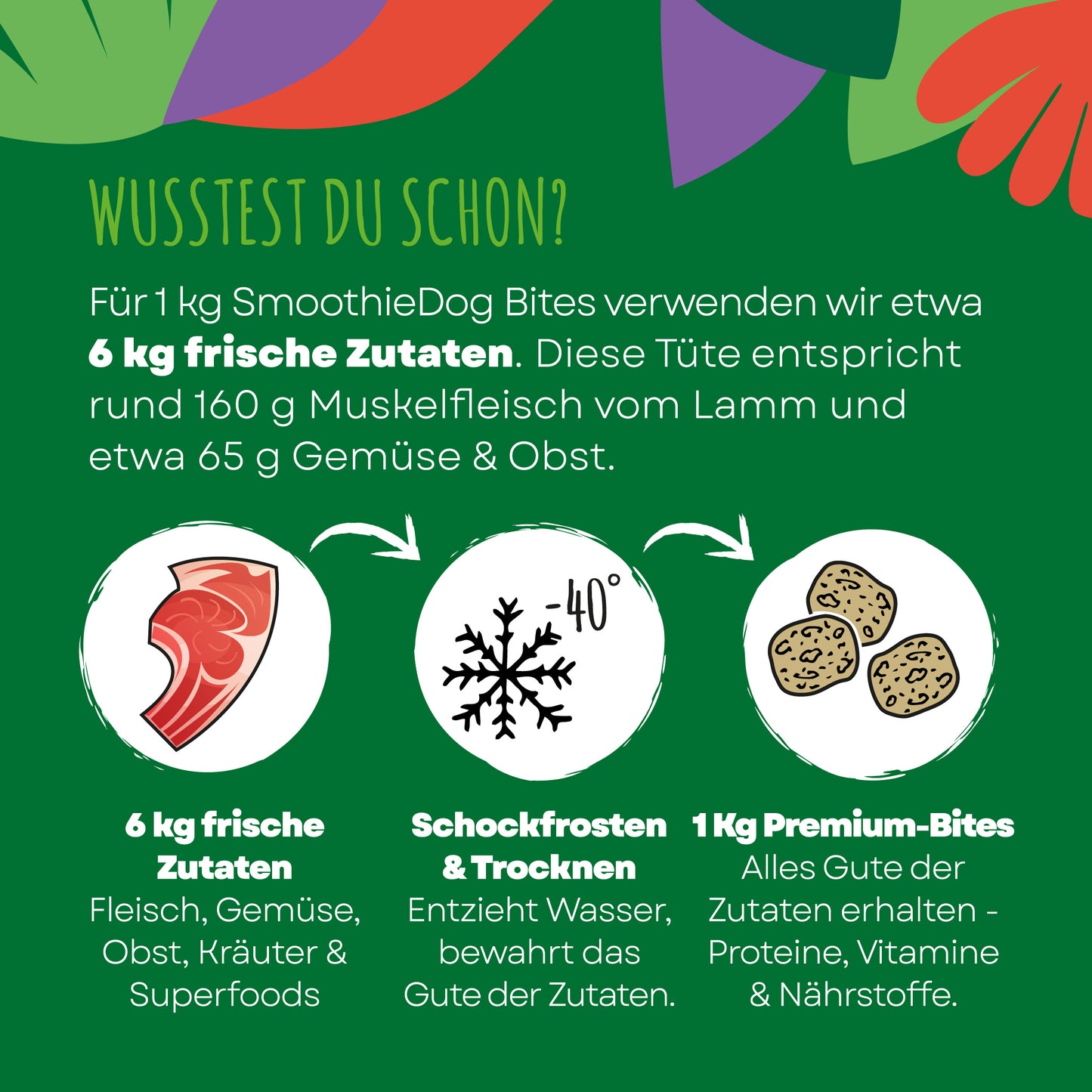 Infografik zu SmoothieDog Bites Lamm zeigt den Gefriertrocknungsprozess mit frischen Zutaten, schonender Verarbeitung und Erhalt von Nährstoffen und Geschmack.