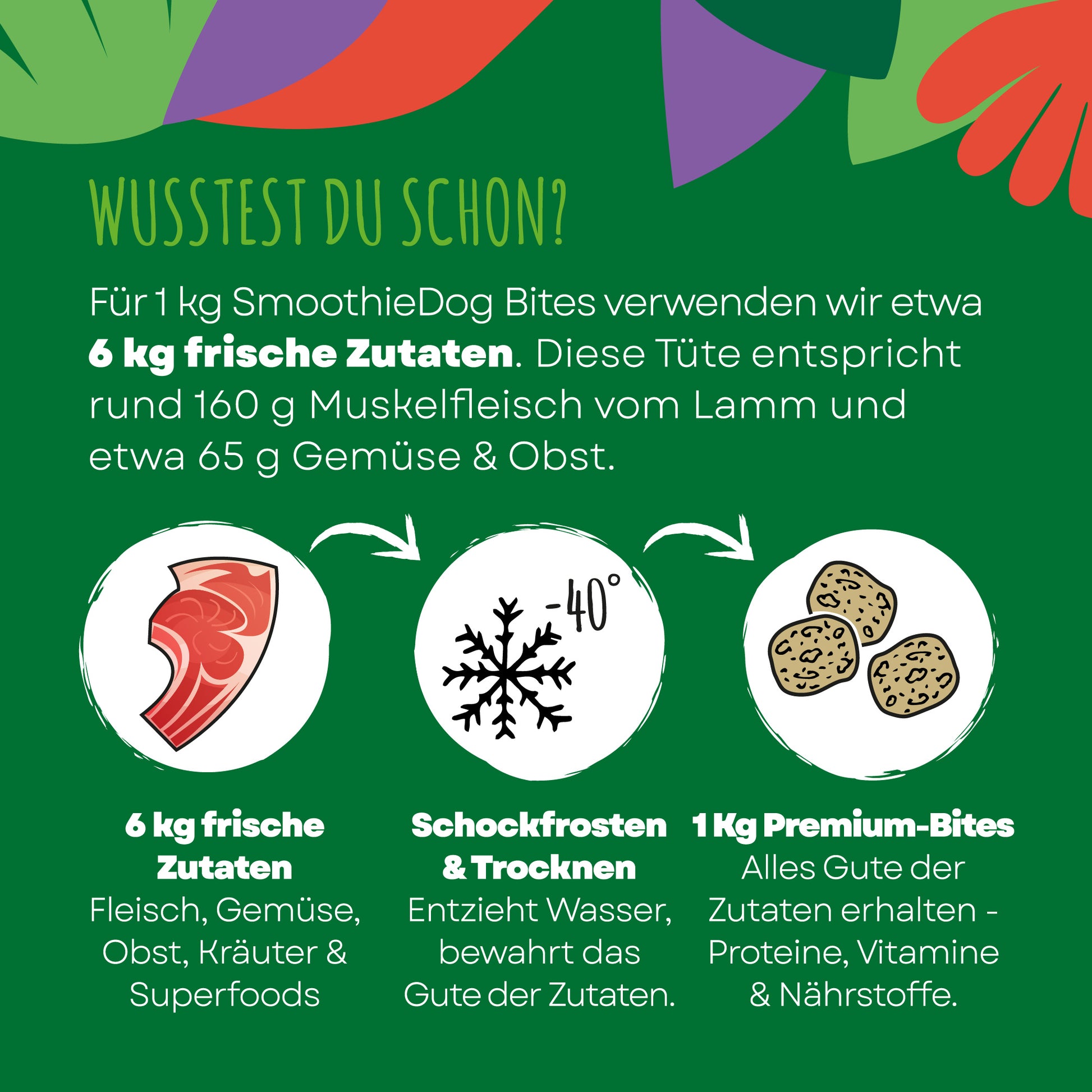 Infografik zu SmoothieDog Bites Lamm zeigt den Gefriertrocknungsprozess mit frischen Zutaten, schonender Verarbeitung und Erhalt von Nährstoffen und Geschmack.