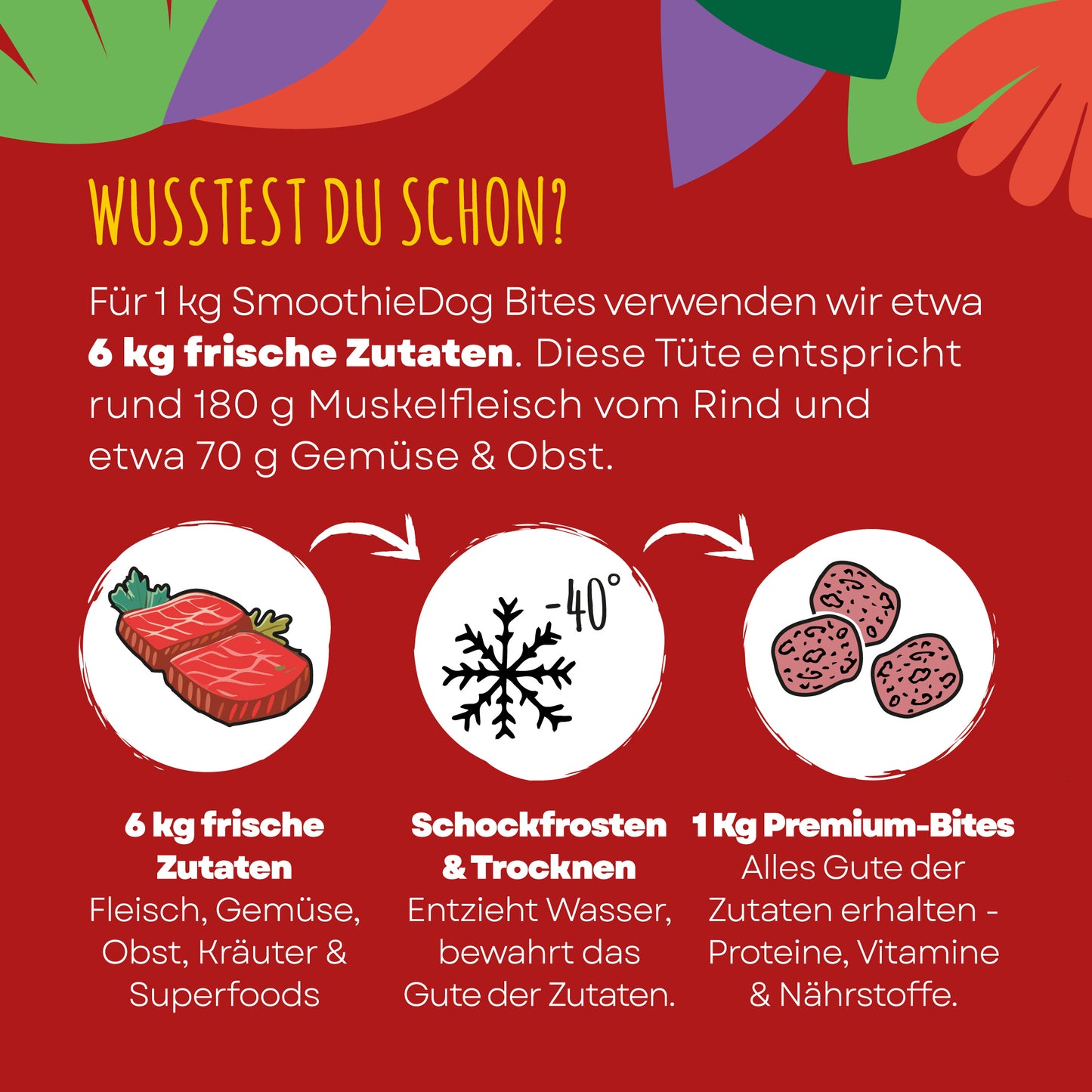 Infografik zu SmoothieDog Bites Rind zeigt den Prozess der Gefriertrocknung und erklärt, wie Nährstoffe und Geschmack der Hundesnacks erhalten bleiben.