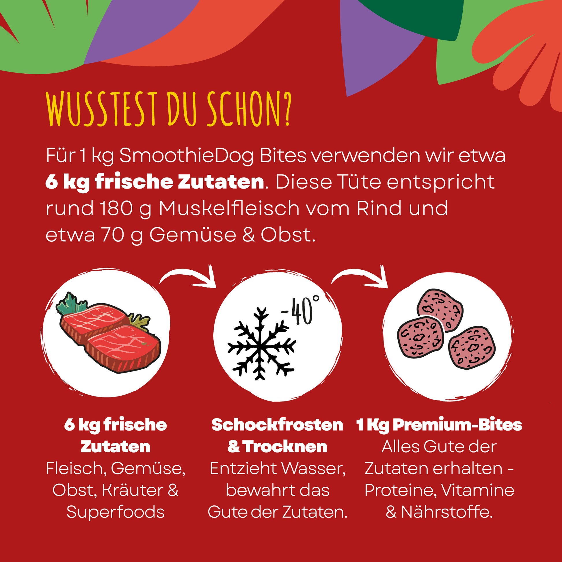 Infografik zu SmoothieDog Bites Rind zeigt den Prozess der Gefriertrocknung und erklärt, wie Nährstoffe und Geschmack der Hundesnacks erhalten bleiben.