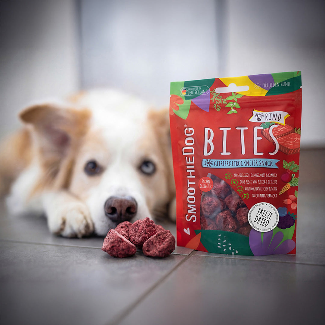 Gefriergetrocknete Hundesnacks SmoothieDog Bites Rind in der Verpackung neben frischen Zutaten wie Fleisch, Beeren und Gemüse, dargestellt in einem natürlichen Umfeld.