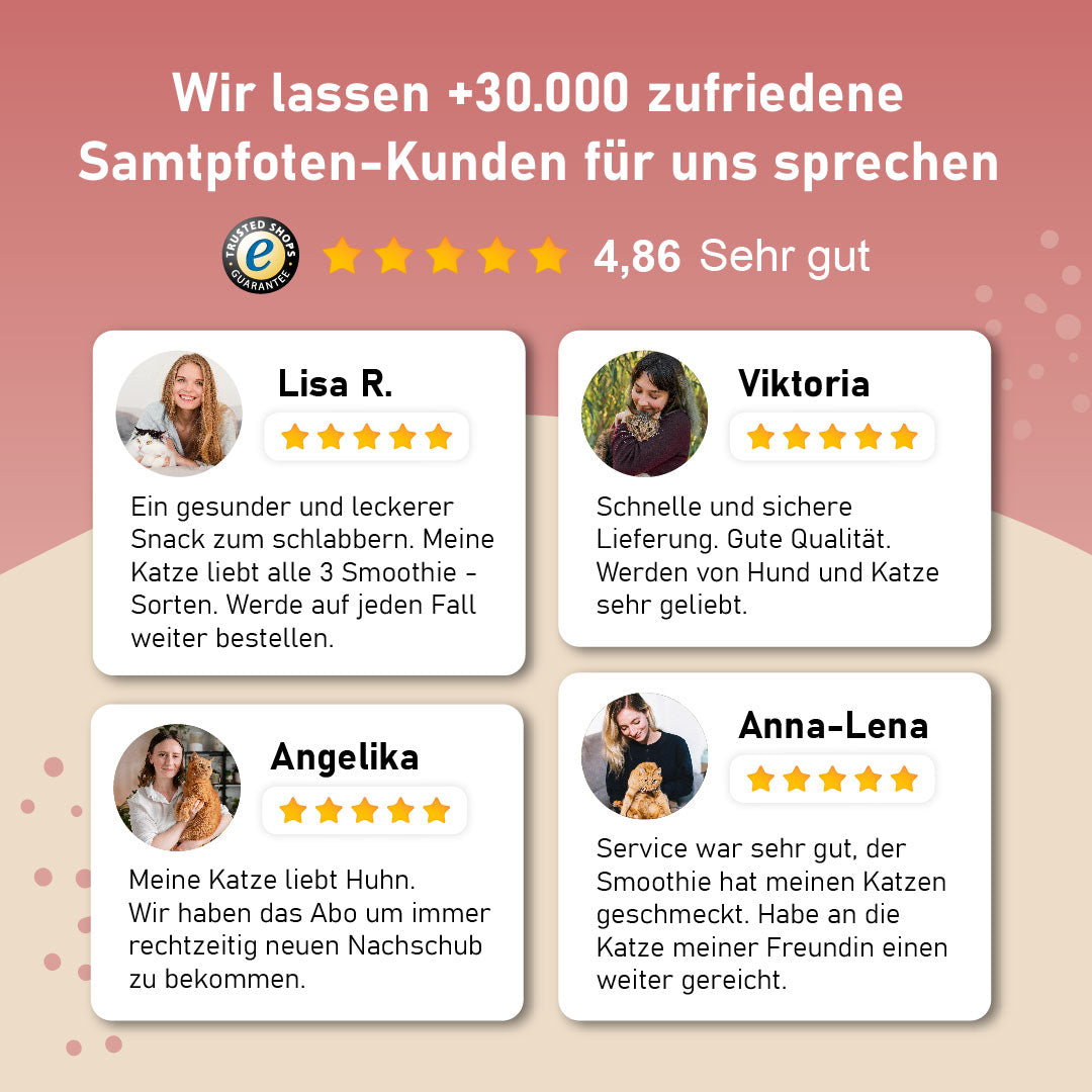 Katzensmoothie LickiMat Bundle