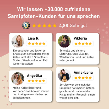 Katzensmoothie LickiMat Bundle