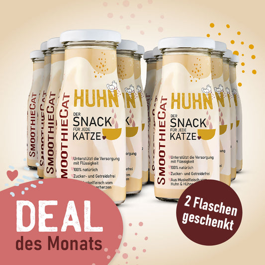 SmoothieCat Deal des Monats April