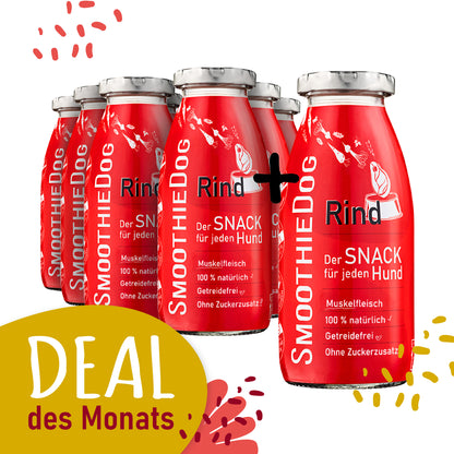 SmoothieDog Deal des Monats August 2026