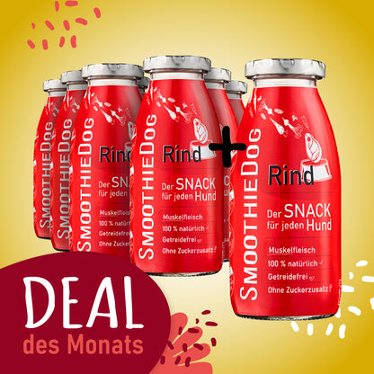 SmoothieDog Deal des Monats August 2026