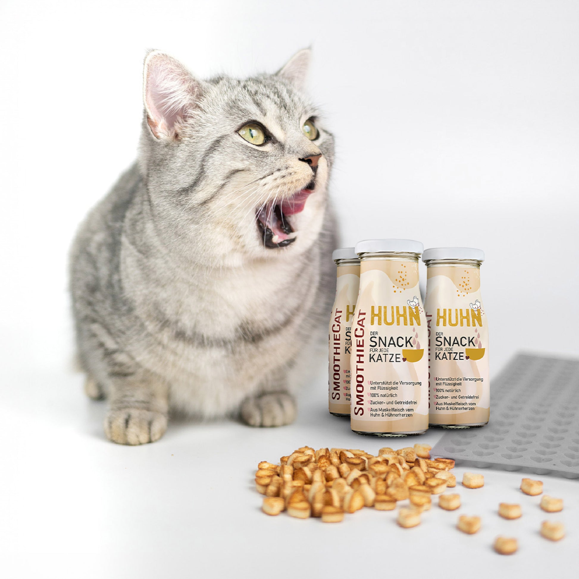 SmoothieCat Huhn 3er-Pack (3x 150ml): Fleischiger Katzensmoothie mit Huhn, daneben eine graue Trixie Backmatte in Herzform und kleine Snacks. Im Vordergrund sitzt eine grau getigerte Katze, die sich das Maul leckt. Schriftzug ‚Deal des Monats‘ rundet das Motiv ab.