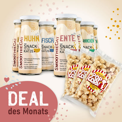 SmoothieCat Deal des Monats Januar