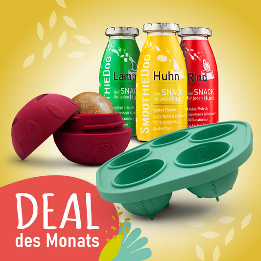 SmoothieDog Deal des Monats Dezember