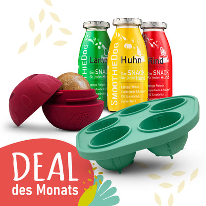 SmoothieDog Deal des Monats Dezember