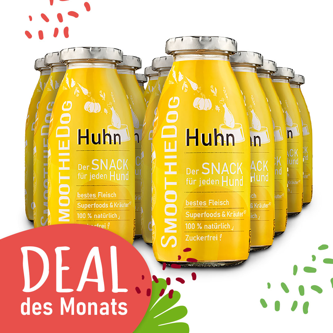 SmoothieDog Deal des Monats März