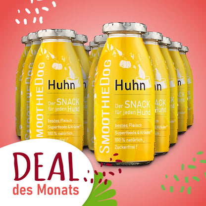 SmoothieDog Deal des Monats März