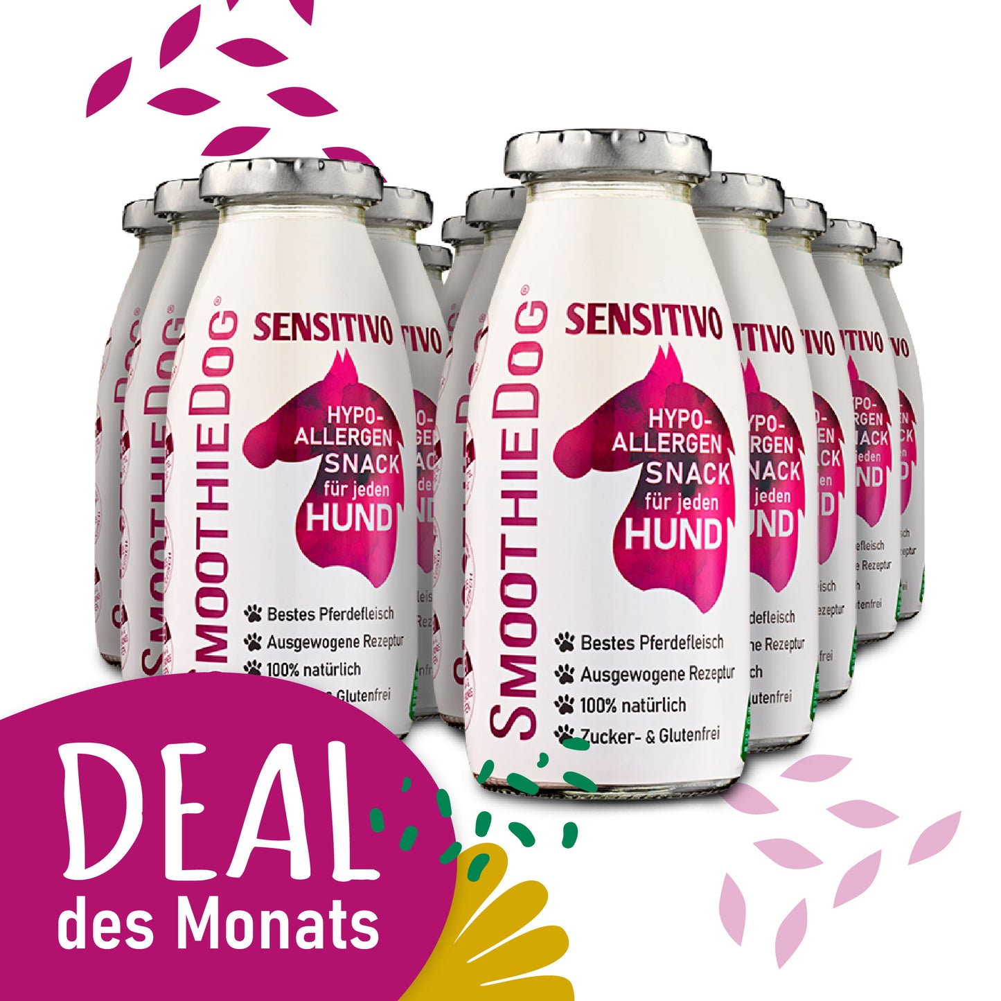 SmoothieDog Deal des Monats Februar