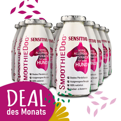 SmoothieDog Deal des Monats Februar