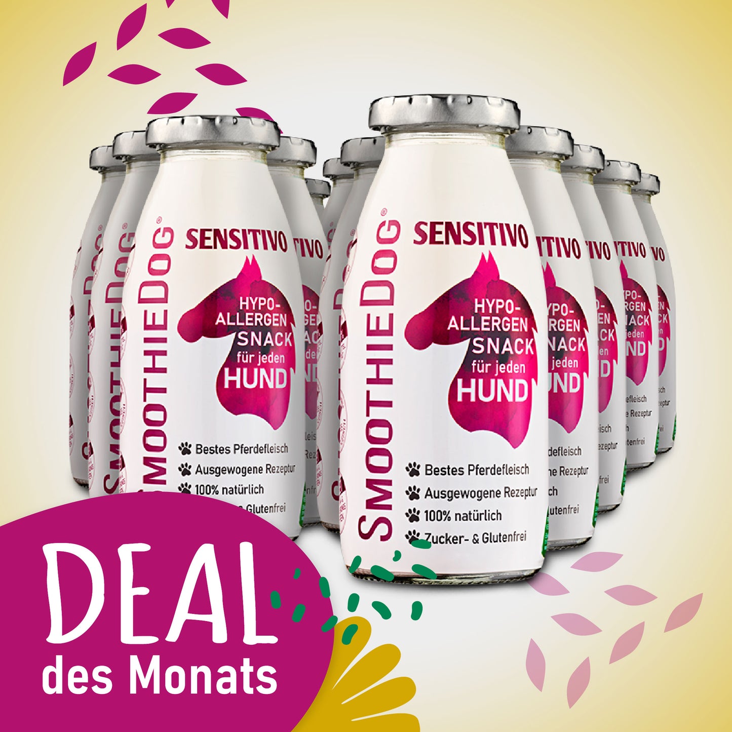 SmoothieDog Deal des Monats Februar