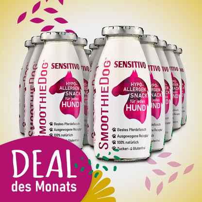 SmoothieDog Deal des Monats Februar