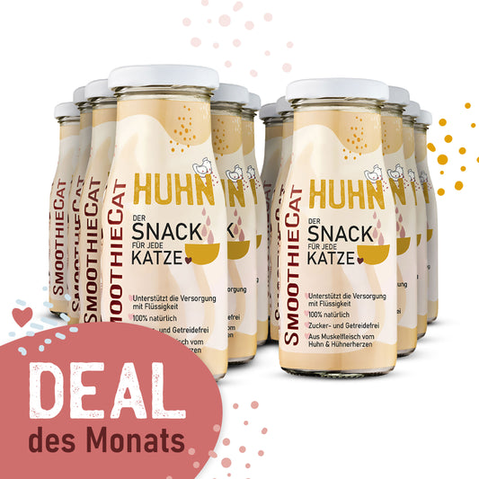 SmoothieCat Deal des Monats