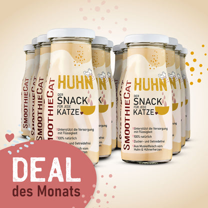 SmoothieCat Deal des Monats