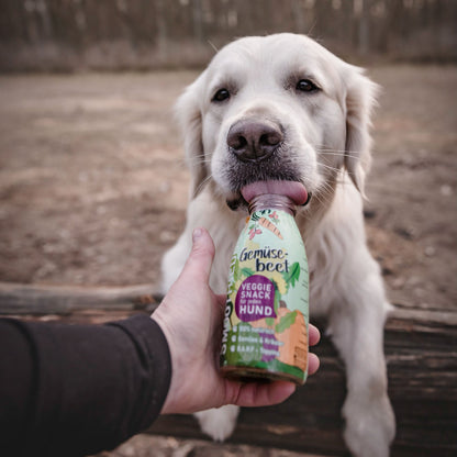 SmoothieDog Deal des Monats Januar 2026