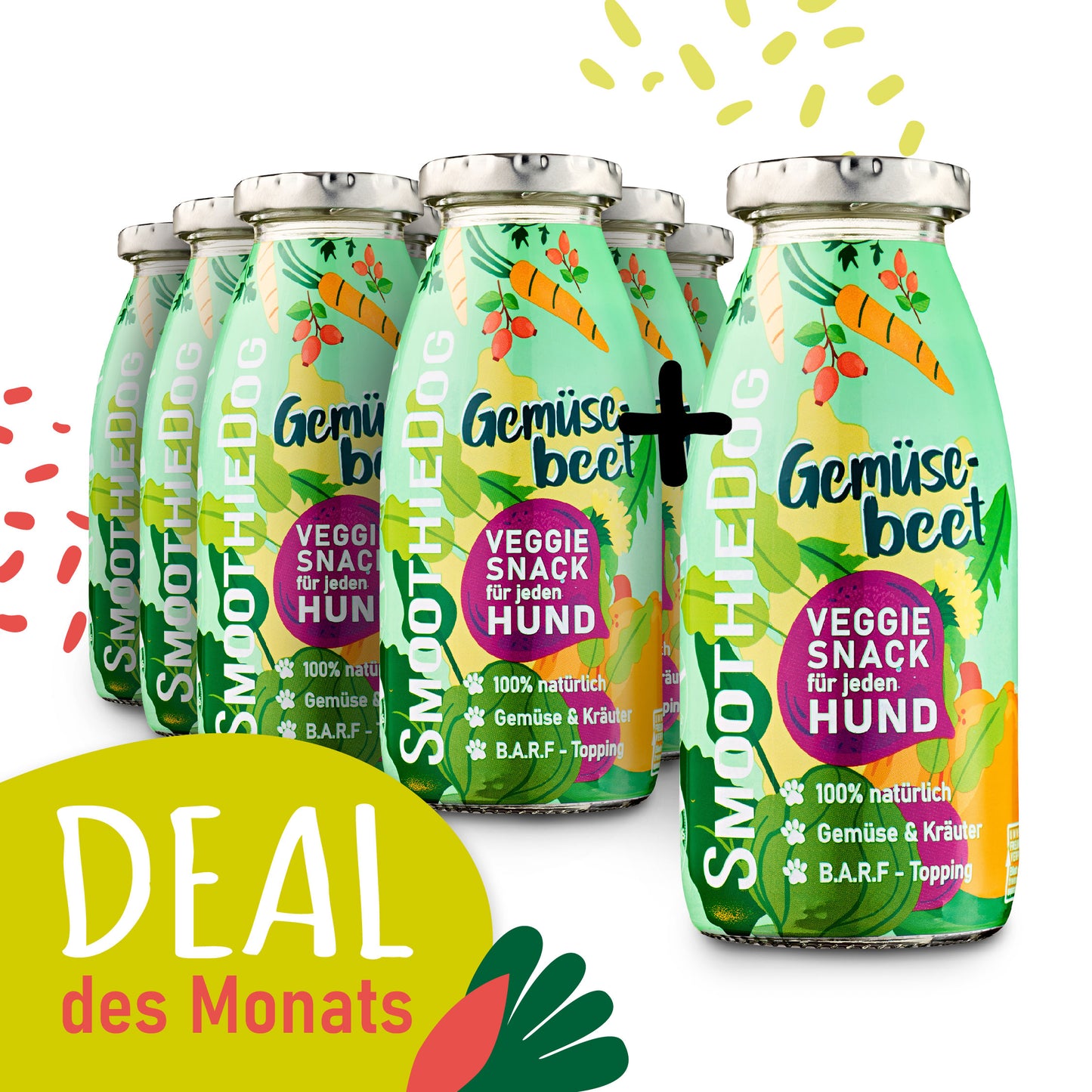 SmoothieDog Deal des Monats Januar 2026