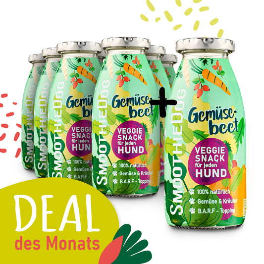 SmoothieDog Deal des Monats Januar 2026