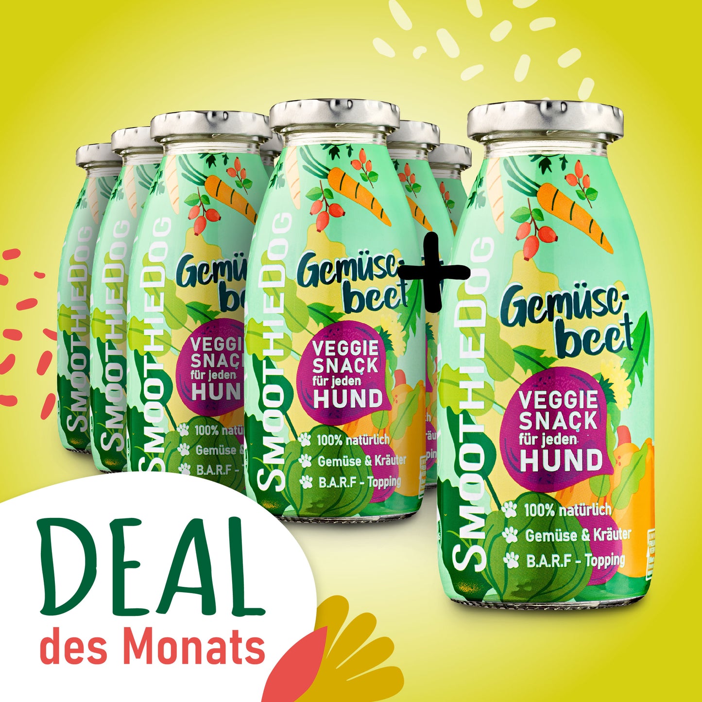 SmoothieDog Deal des Monats Januar 2026