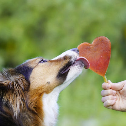 SmoothieDog Deal des Monats Juli