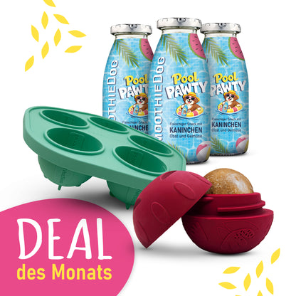 SmoothieDog Deal des Monats Juni 2026
