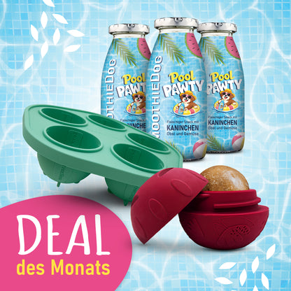 SmoothieDog Deal des Monats Juni 2026