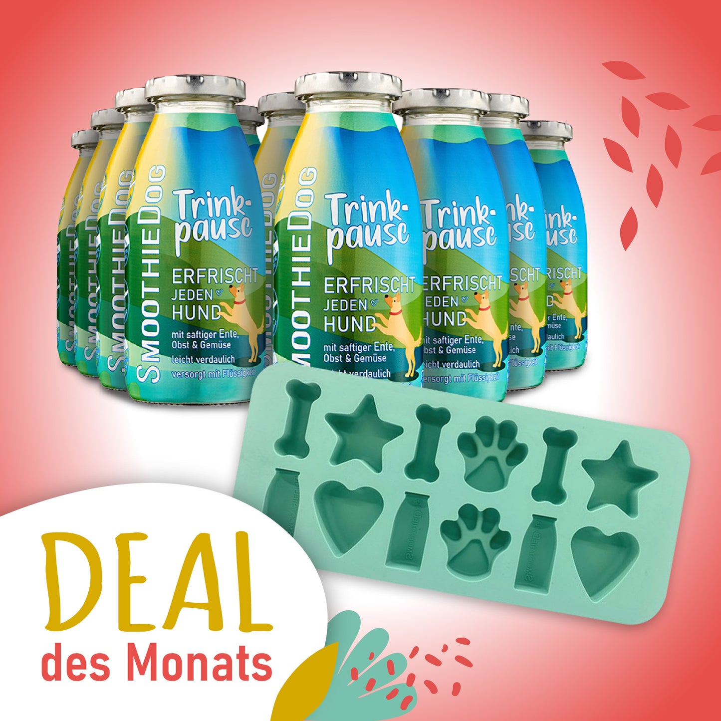 SmoothieDog Deal des Monats Mai