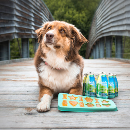 SmoothieDog Deal des Monats Mai