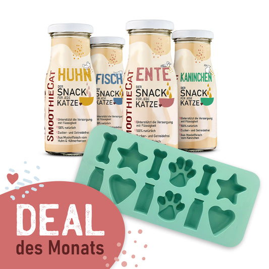 SmoothieCat Deal des Monats