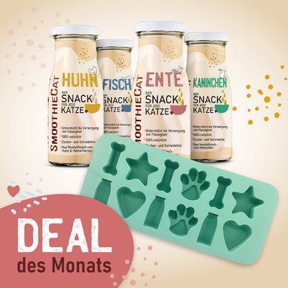 SmoothieCat Deal des Monats