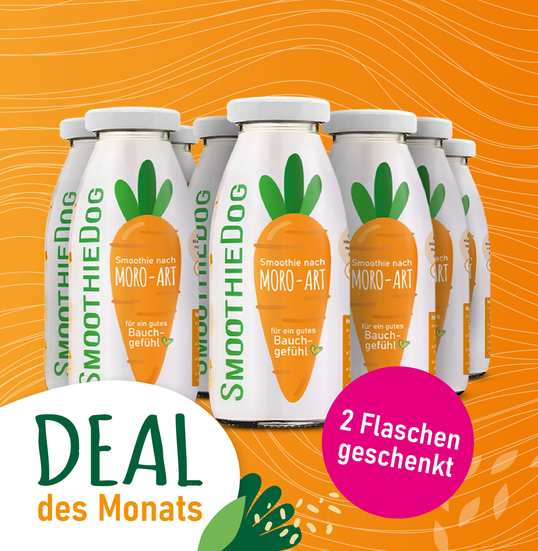 SmoothieDog Moro 8er-Pack (8×250 ml): Natürlicher Karottensmoothie für Hunde – für eine gesunde Verdauung und ein gutes Bauchgefühl. November-Aktion: Kaufe 8 Flaschen, zahle 6 – zwei gratis.