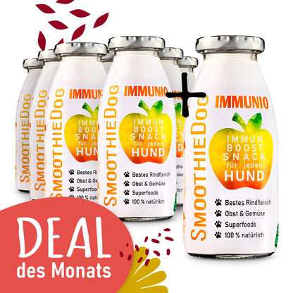SmoothieDog Immunio 8er-Pack (8x 250ml): Immun-Boost-Snack für Hunde auf Basis von Rind, Obst und Gemüse. Abgebildet mit dem Schriftzug ‚Deal des Monats‘ auf rotem Hintergrund.