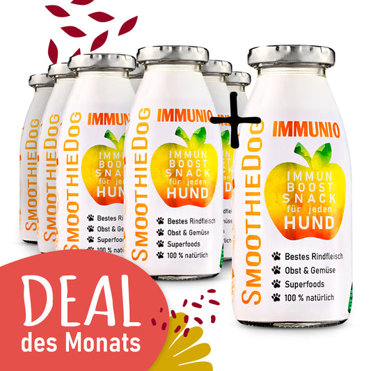 SmoothieDog Immunio 8er-Pack (8x 250ml): Immun-Boost-Snack für Hunde auf Basis von Rind, Obst und Gemüse. Abgebildet mit dem Schriftzug ‚Deal des Monats‘ auf rotem Hintergrund.