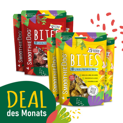 SmoothieDog Deal des Monats Oktober