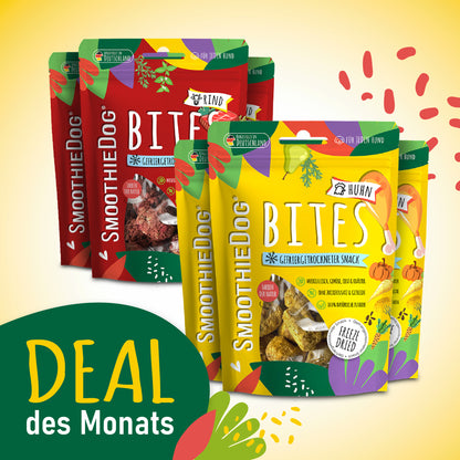 SmoothieDog Deal des Monats Oktober